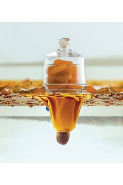 LAV Berry Tekli Şekerlik Lv-berrys1