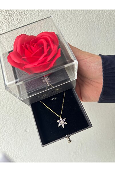 Harlofia Cam Fanus Gül Detaylı Gümüş Kolyeli Çekmeceli Hediye Kutusu