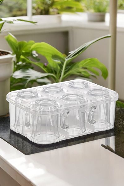 decorev Practical 6-Piece Water Cup Carrying Box - Picnic Water Cup Carrying Apparatus