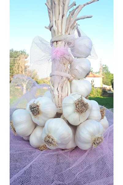 Taşköprü Sarımsağı Batton Kastamonu 1 Kg Tescilli Coğrafi Işaretli Orji Ata Yerli Tohum (ORTA BOY)