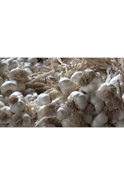 MMA Taşköprü Sarımsak 1kg Orta Boy