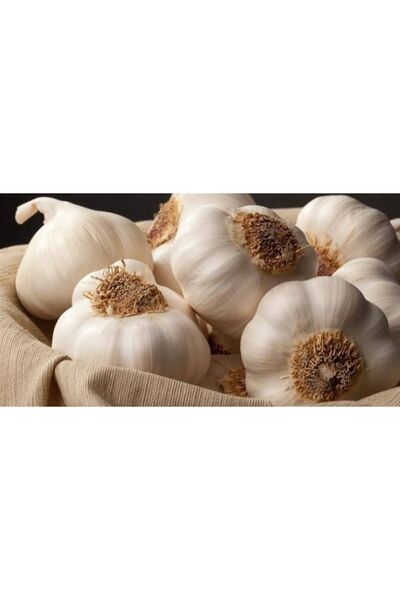MMA Taşköprü Sarımsak 1kg Orta Boy