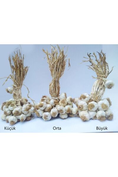 Yörece Taşköprü Sarımsak Kastamonu Taşköprü Sarımsağı 1 Kg Orta Boy