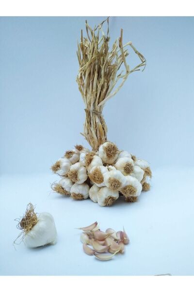 Yörece Taşköprü Sarımsak Kastamonu Taşköprü Sarımsağı 1 Kg Orta Boy