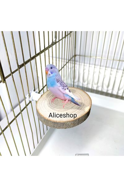 aliceshop Natural Wood Perches