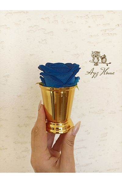 AYZ HOME Velvet Rose Bucket - 1 Piece, Coffee Presented Wishing Promise Engagement