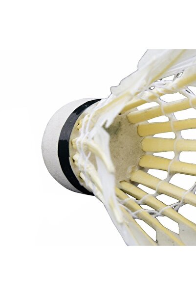 Delta 6 Pieces of Mushroom Head Badminton Balls in Special Goose Feather Practical Box