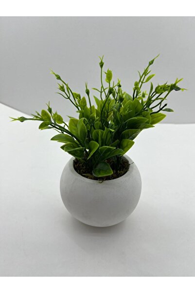 DDPEST Mini Beton Saksı 3'lü Set Gerçek Yosunlu Yapay Çiçek Aranjman Hediyelik Paket Saksı