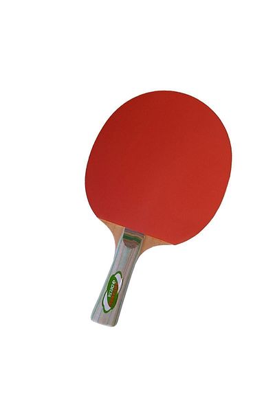 Delta Advance Table Tennis Racket (Ping Pong Racket)
