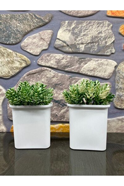 Süs ağacı Askılı Saksıda 2 Li Yapay Çam (çam Dalı Dahil Yükseklik 15 Cm En 8 Cm Dir)