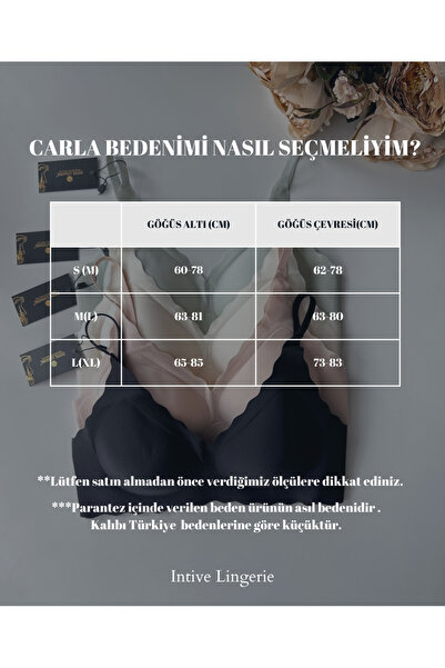 İntive Lingerie Carla Imported Laser Cut Seamless Removable Padded Support Comfortable Bra/Bralet -82