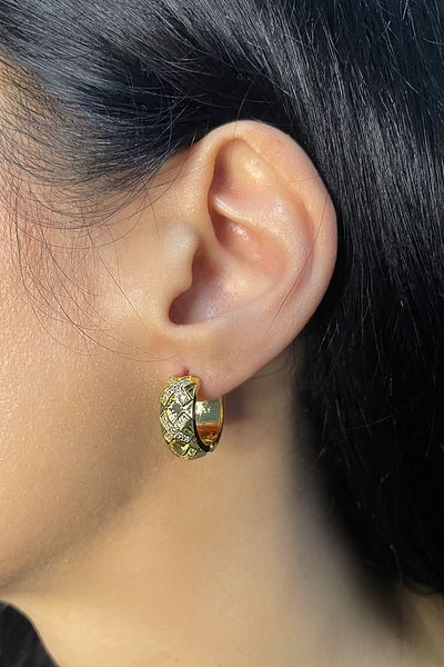 Onouqo Gold Color Blackening and Rust Proof Steel - Zircon Stone - Women's Earrings