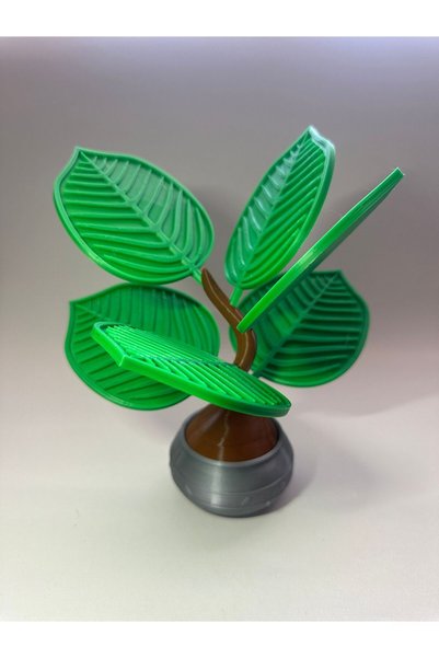 BamBam Sanat 3d Wooden Coasters Kitchen Cafe Decoration