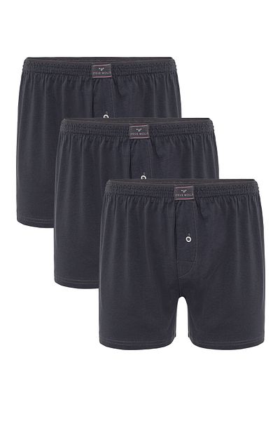 Steve Wolls Men's Anthracite 3-Piece Combed Cotton Boxers - 23702