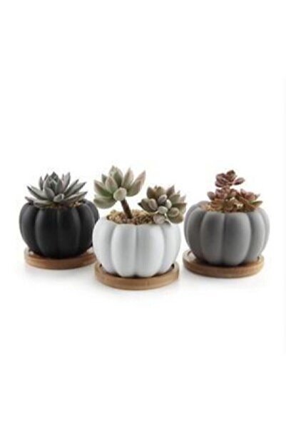 Genel Markalar 3'lü Bal Kabak Tasarımlı Mini Dekoratif Beton Saksı