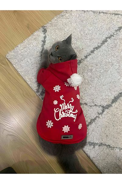 Monopetz Hooded Sweatshirt Dog And Cat Christmas Outfit - New Year's Special Santa Claus - Size Xs