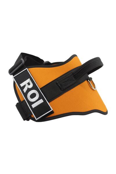 MgTasma Kişiye Özel, Isimli K9 Köpek Tasması, Göğüs Ve Boyun Tasma Seti