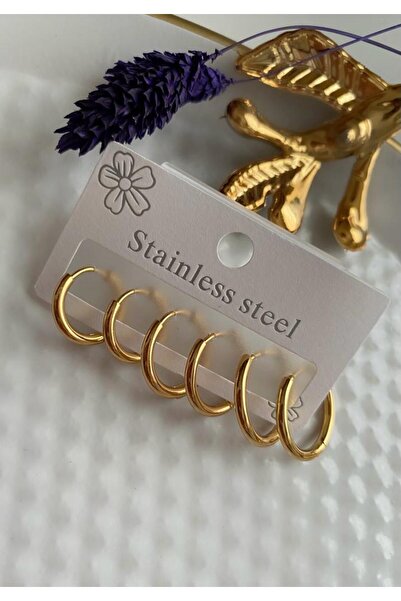 Arescollection 316L CERRAHİ ÇELİK 6 LI 3 ÇİFT 3 BOY HALKA KÜPE SETİ