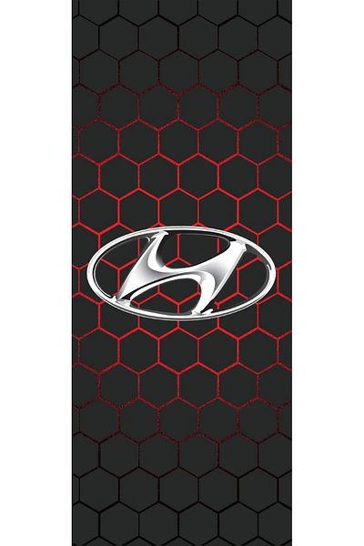 TKY Hyundai̇ Printed Door Post Foil - Set of 2