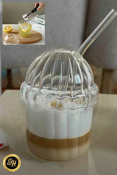 M Mimoza Park 2 Pieces Heat Resistant Pinterest Cup with Glass Oval Lid| Coffee And Presentation Cup| 430ml