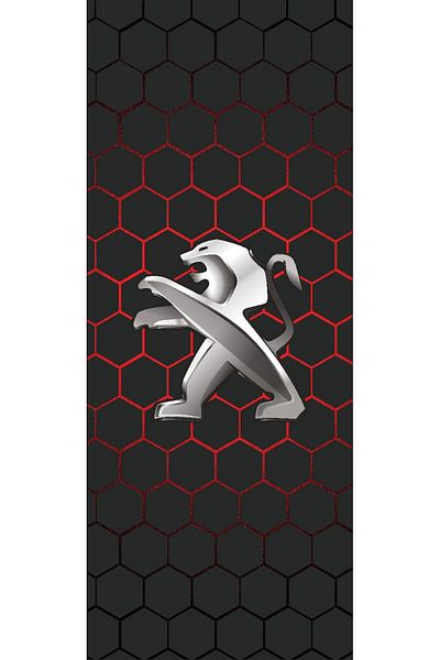 TKY Peugeot Printed Door Post Foil - Set of 2