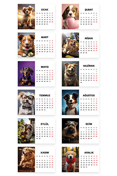 Harikalar Ofisi 2025 Köpek Temalı Stantlı Masa Takvimi