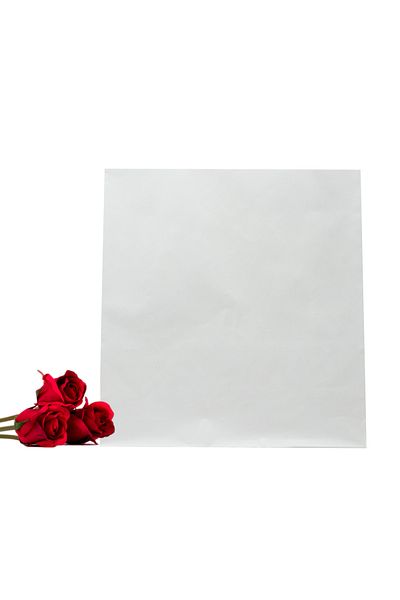 reprodesign Подаръчен пакет с тиксо Premium White 32x35 - 2 броя