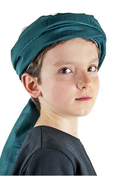 ihvanonline Pânză înfășurată - verde