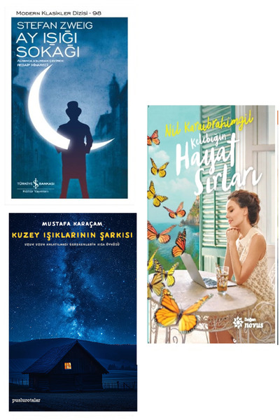 TÜRKİYE İŞ BANKASI KÜLTÜR YAYINLARI Kelebeğin Hayat Sırları - Nil Karaibrahim...