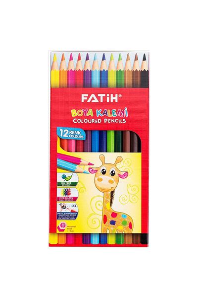 Fatih 12 Pieces Full Paint Dry Paint Cardboard Box / 33112
