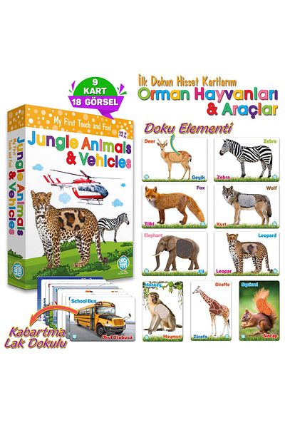 Circle Toys Touch Feel Forest Animals and Vehicles