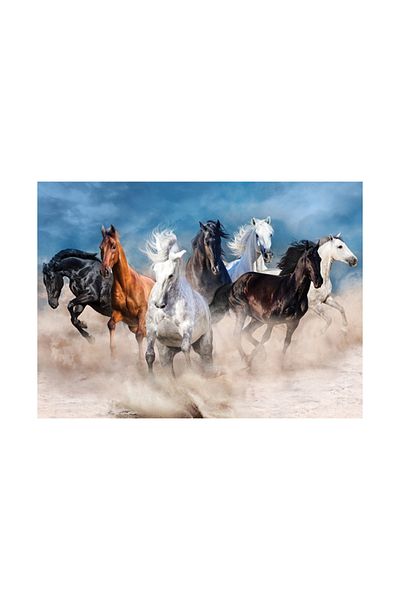 Blue Focus 1000 Piece Puzzle - Horses (HORSES)