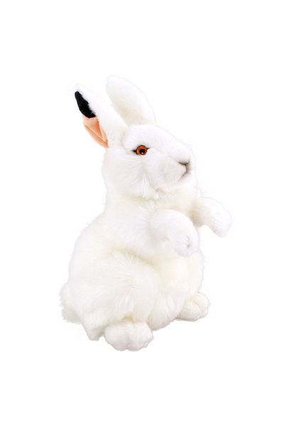 Animals Of The World 28cm White Rabbit Plush Toy