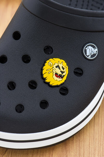 Apptakı Taraftar Aslan Crocs Süsü Bileklik Terlik Süsü Charm Terlik Aksesuarı...