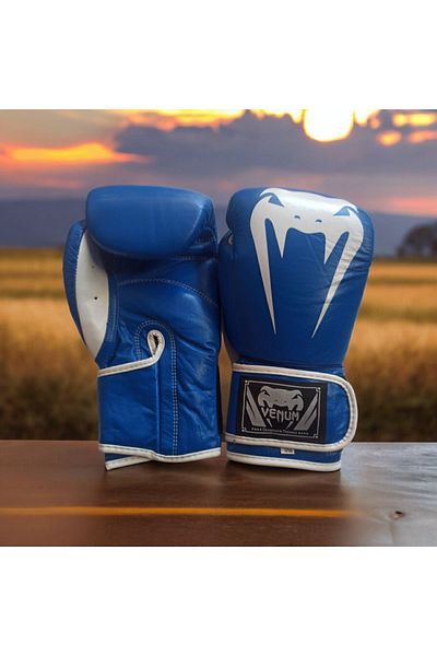 Venum Boxing Gloves