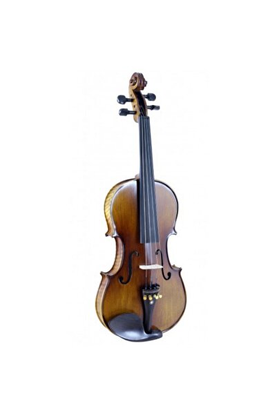 Swing Sv-444 Keman (taşıma Çantası, Reçine ,yay Dahil)