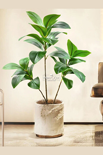 Yapay Çiçek Deposu Yapay Ağac Kauçuk Bitkisi 3 Dallı 105 cm