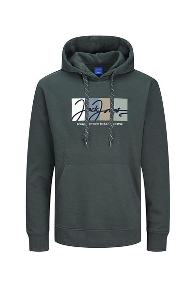 Jack & Jones Hoodie Logo Hoodie