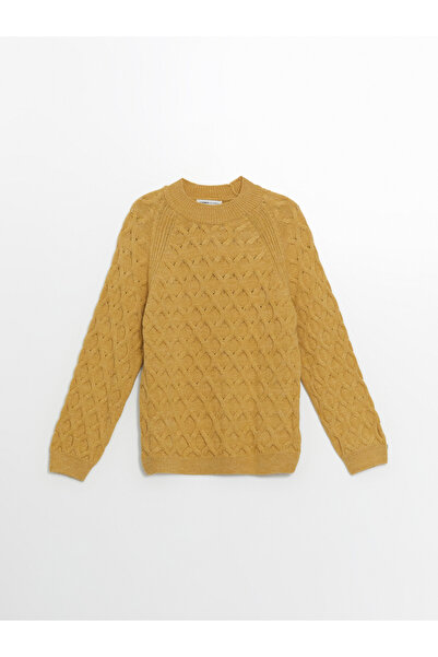 LC Waikiki Bisiklet Yaka Kendinden Desenli Uzun Kollu Kadın Triko Kazak