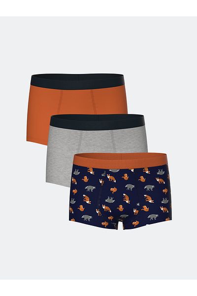 LC Waikiki Set de 3 boxeri imprimați pentru băieți