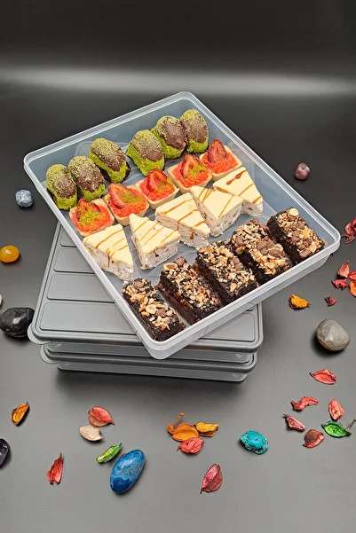 SWENCRAFT 3 Piece Food Storage Set That Can Enter Microwave and Deep Freezer - Gray Pp 5 Lux Box 2.4 Lt