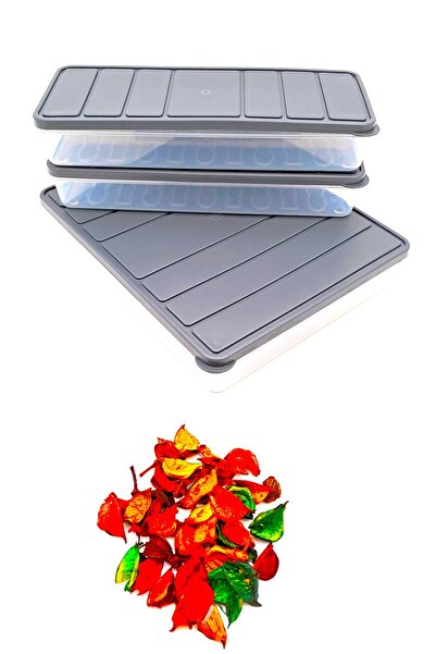 SWENCRAFT Set of 3 Food Storage Containers - Microwave and Drip-Frying, 2.4 Lt and 1.2 Lt Gray Color