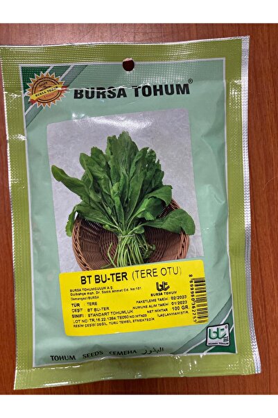 bursa tohum BU-TER TERE OTU TOHUMU 100GR