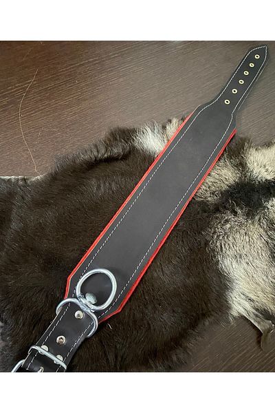 Sürmeli Tasma Wide Kangal Dog Collar - Buffalo Leather