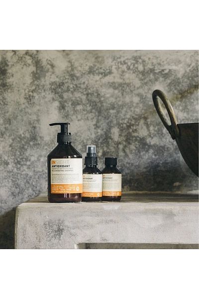 Insight Antioxidant Renewing and Protective Care Cream 500 ml