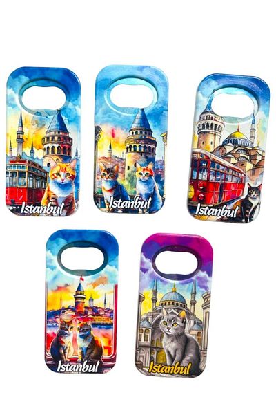 GALATA GIFT Sticla cu magnet cu tematică Istanbul și pisică - o bucată, deschizător de sifon de 9 cm