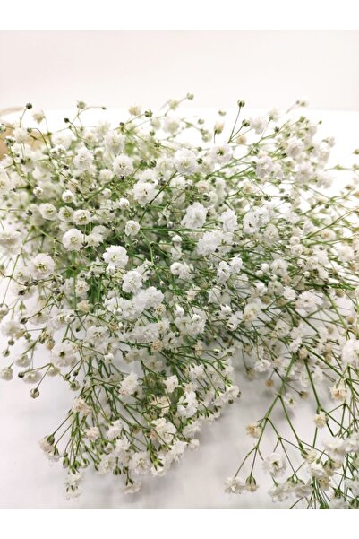 Cipso Şoklanmış 1.kalite Karbeyazı 40-50gr