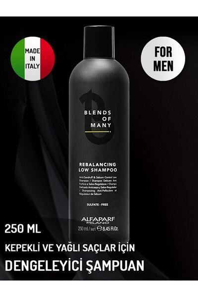 Alfaparf 250 ml Hair Balancer for Men - Special Blends for Bran and Oily Hair