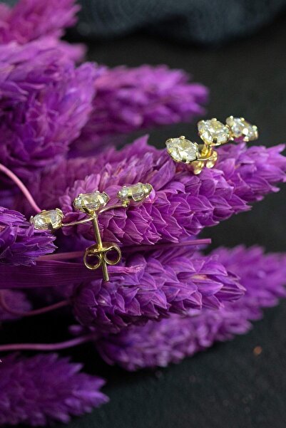 MOOM MÜCEVHERAT Kadın Tek Taş Sarmaşık Küpe 14 Ayar Altın