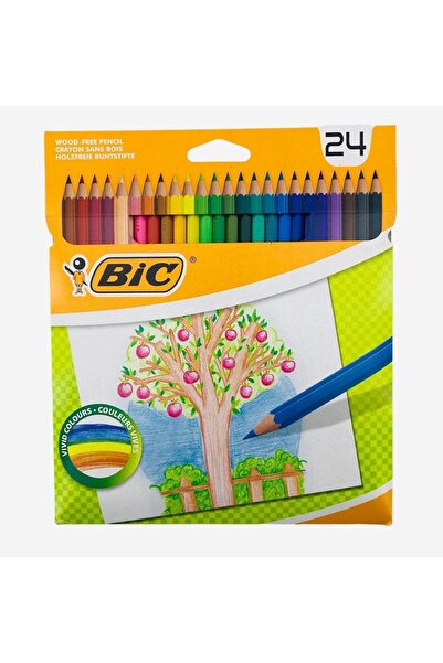 Bic 24 Colors Dry Paint